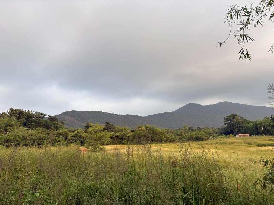 Mountain view from a Dodamarg plot