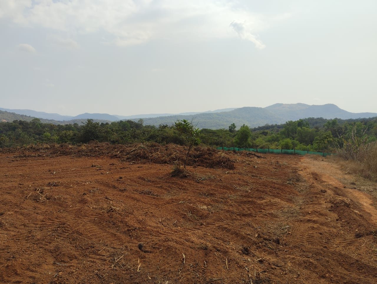 Fenced access track on a cleared plot