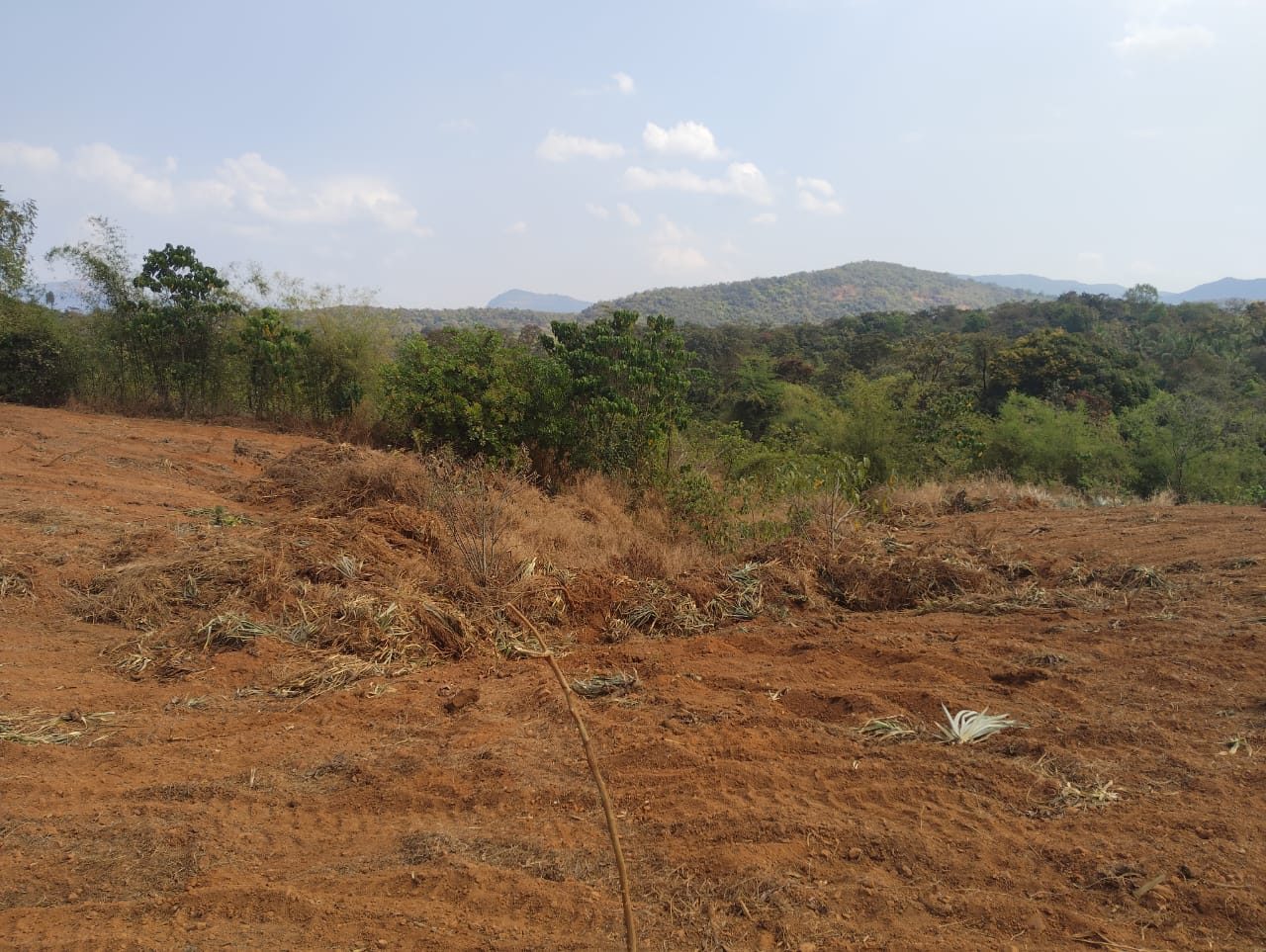 Land being cleared and prepared for development near Dodamarg