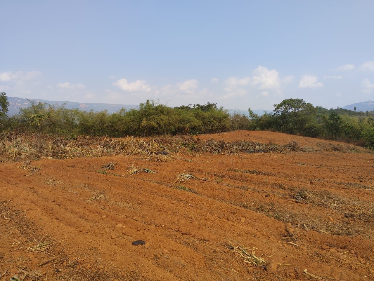 Furrowed farmland plot