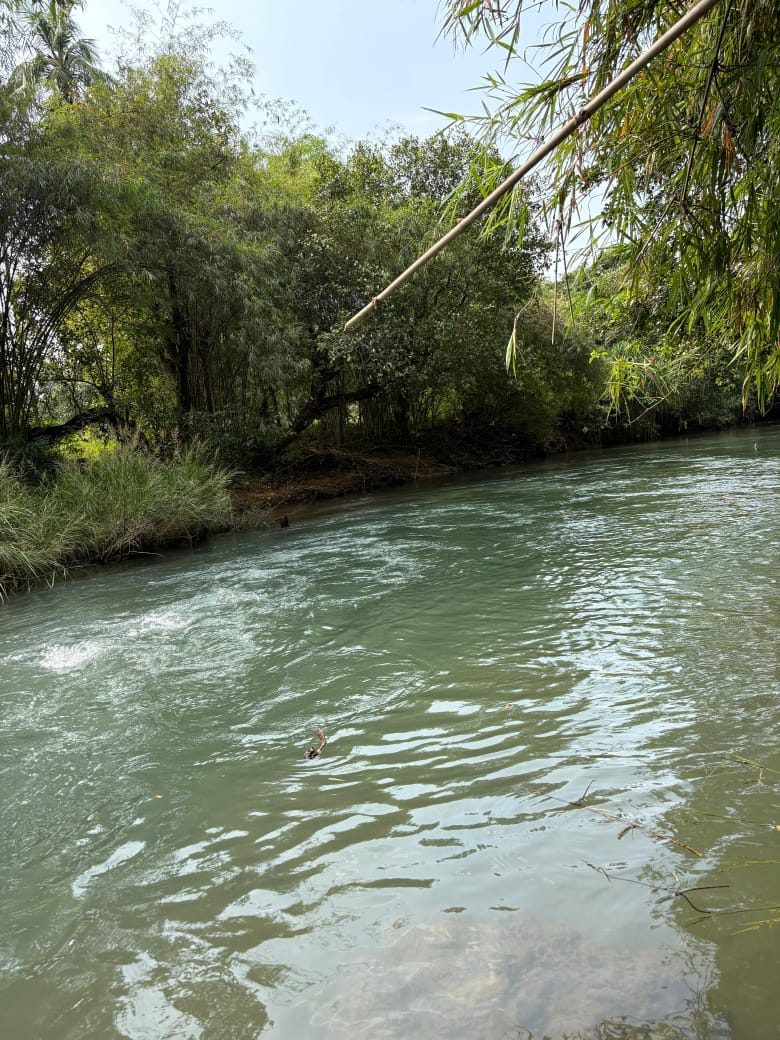 River frontage on a Dodamarg-area plot